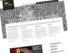Intellisoft Corporate and Services Website